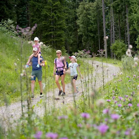 Feriehus Alpine With Dream View & Garden Feeling *